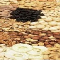 Dry Fruits 03