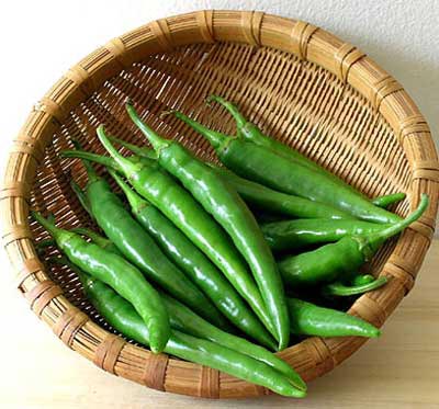 Fresh Chilli Fresh Chilli