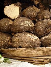 Elephant Foot Yam